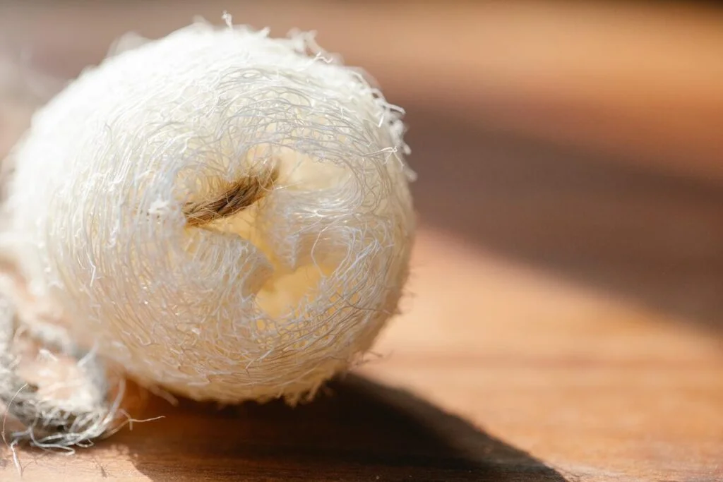 What is loofah What is loofah