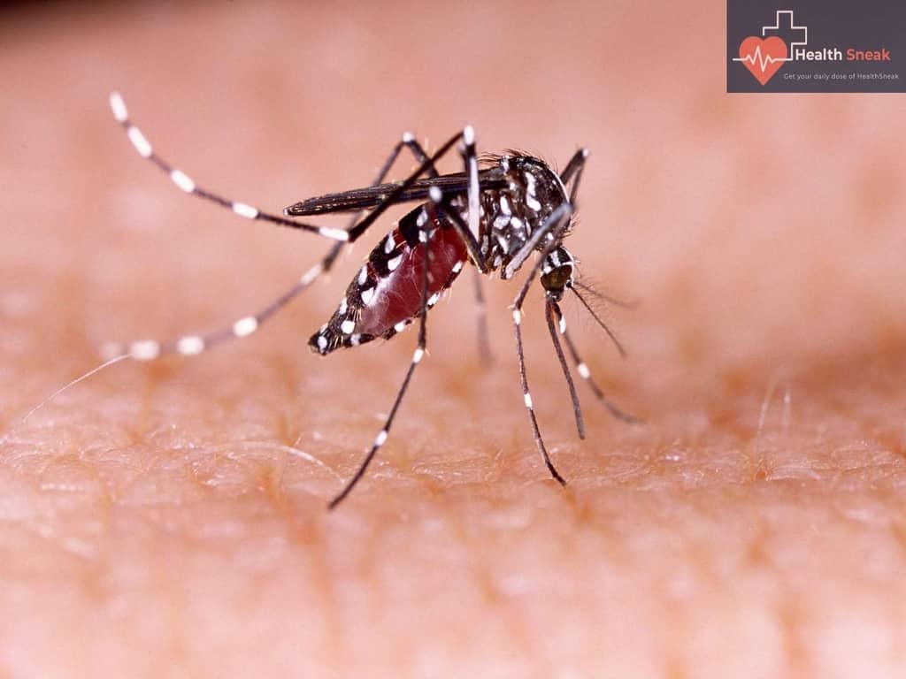 Chikungunya virus disease was declared an officially recognized condition in the year 2015