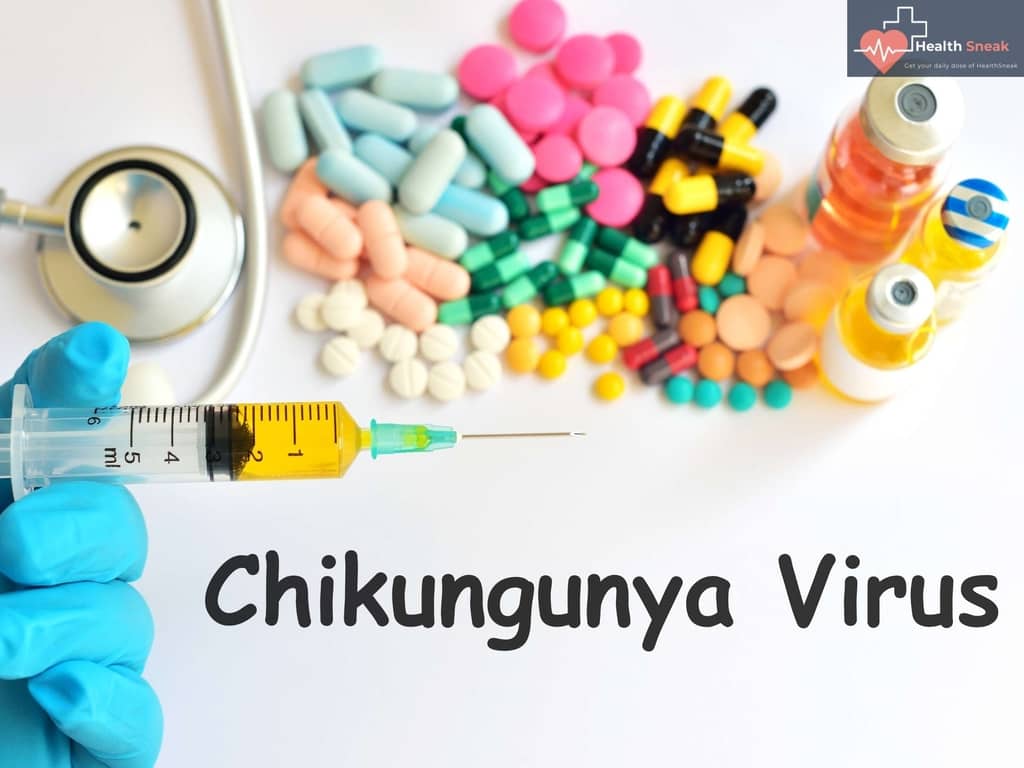 Chikungunya virus is transmitted to people through the bite of a mosquito infected.